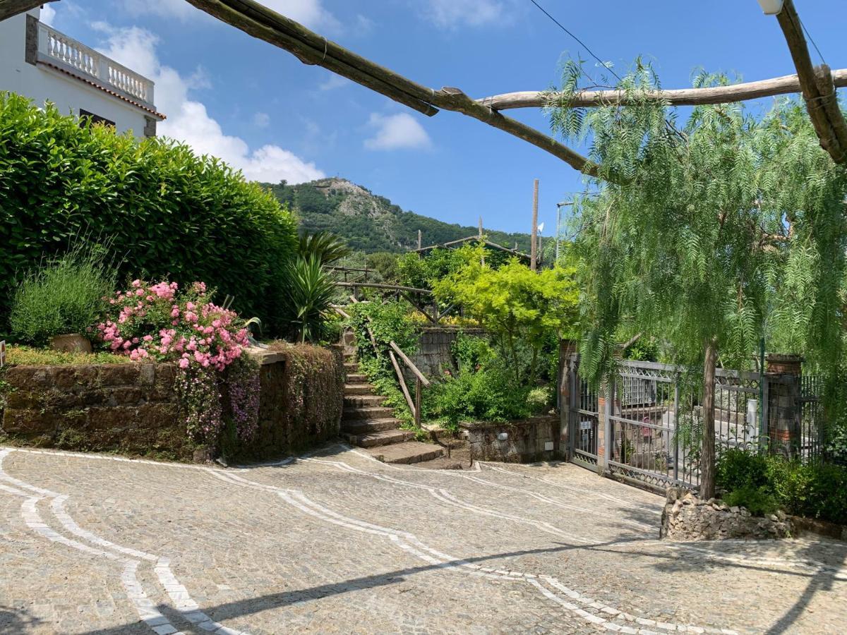 Villa Flore Colli di Fontanelle Bagian luar foto