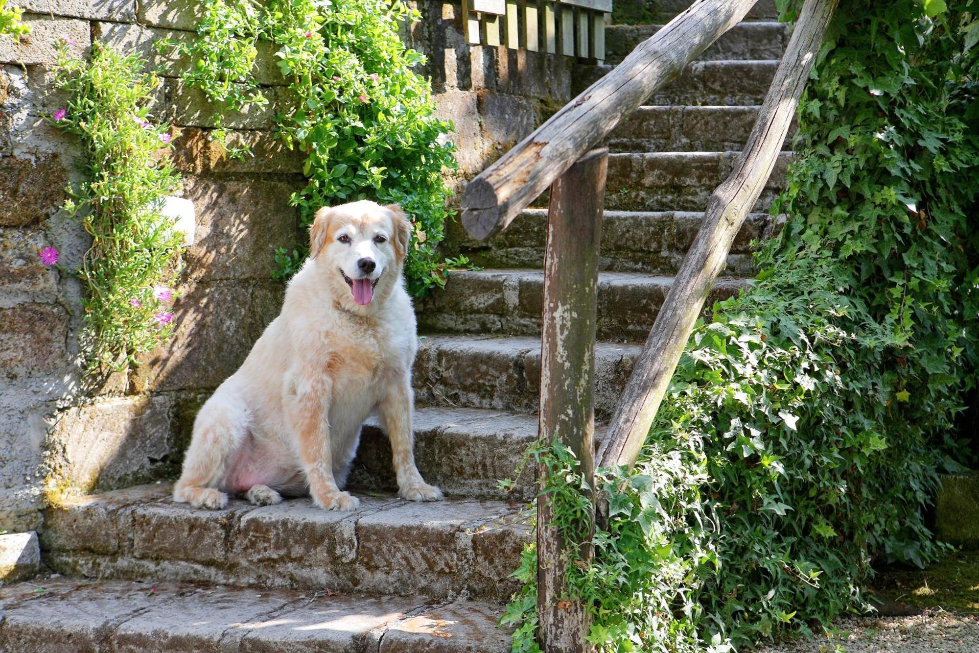 Villa Flore Colli di Fontanelle Bagian luar foto